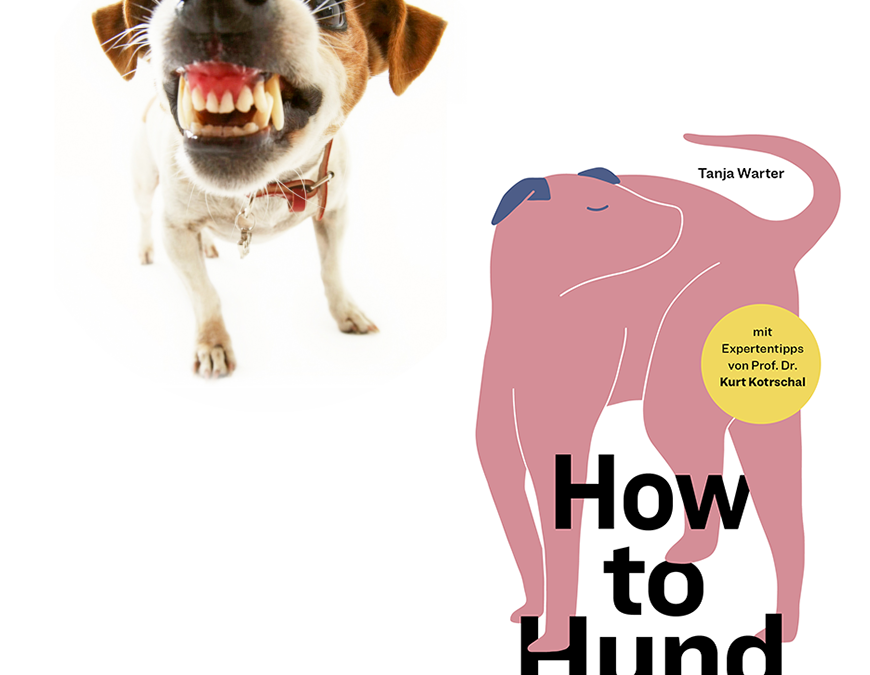 Online Hundepass Niederösterreich – Kurs & Buch „How to Hund“